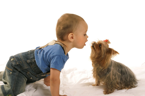 Falar igual bebê com seu cachorro: Será que adianta?