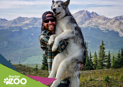Cansado de ver cães presos, este fotógrafo resolveu registrar a vida feliz de seu cão solto na floresta
