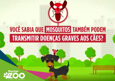 Mosquitos podem transmitir doenças em cães?