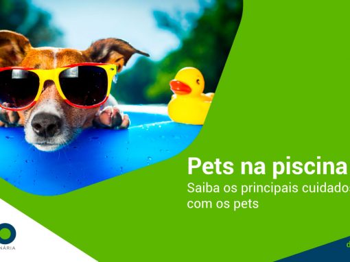 Pets na piscina: saiba os principais cuidados com os pets