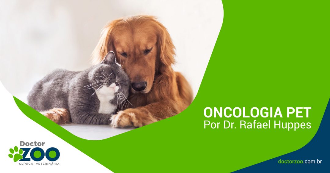 Oncologia Pet – Por Dr. Rafael Huppes