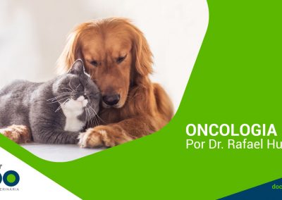 Oncologia Pet – Por Dr. Rafael Huppes