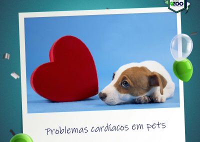 Problemas cardíacos em pets